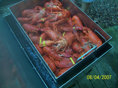 Basket full of lobsters in lobster steamer